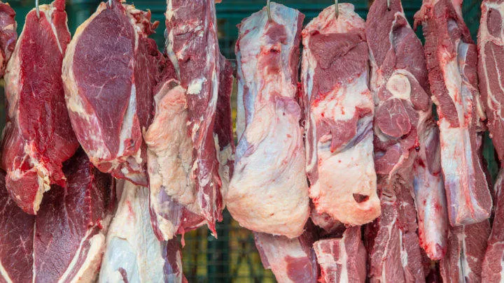 Alerta no Agro: União Europeia suspende importações de carnes e produtos animais do Brasil