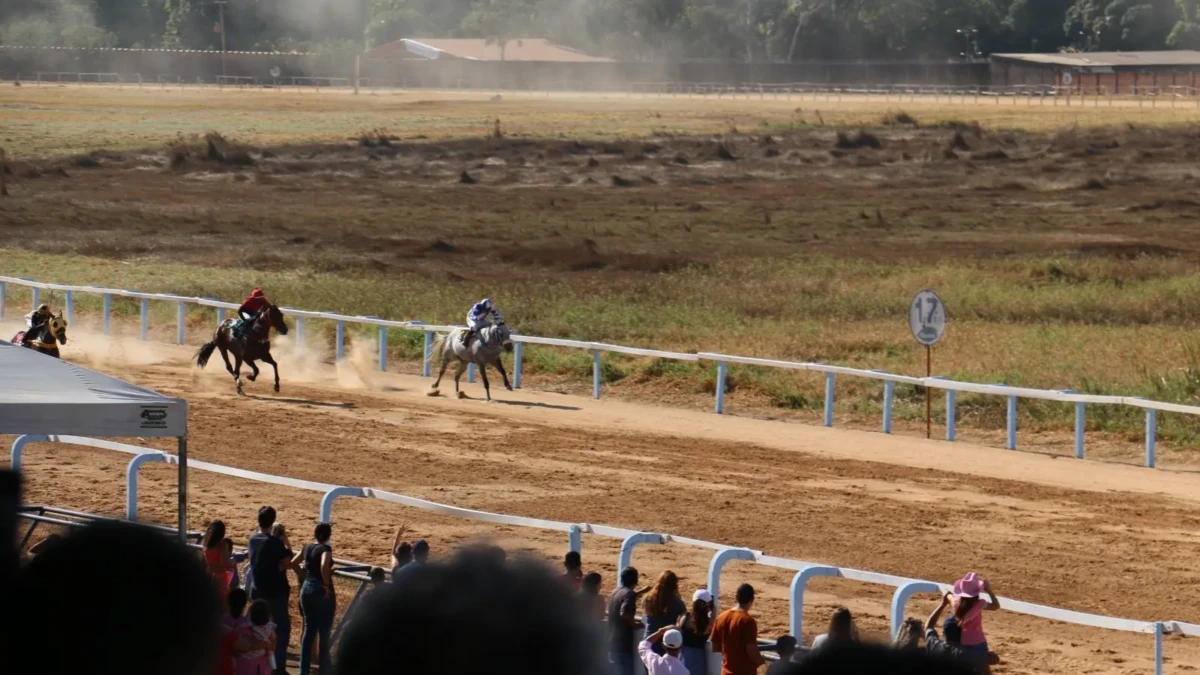 Hipódromo da Lagoinha retoma corridas de cavalos em Goiânia com entrada gratuita