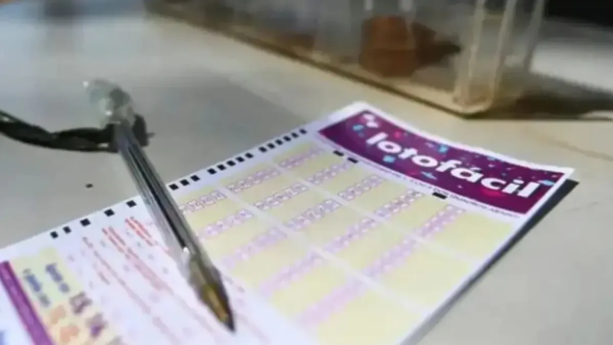 Lotofácil 3655: Treze apostas de Goiás acertam 14 números e levam prêmio; veja as cidades